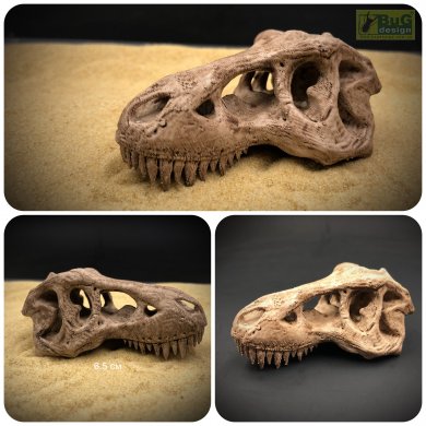 Череп T-Rex (тиранозавра), 6.5 см (неокрашенный)